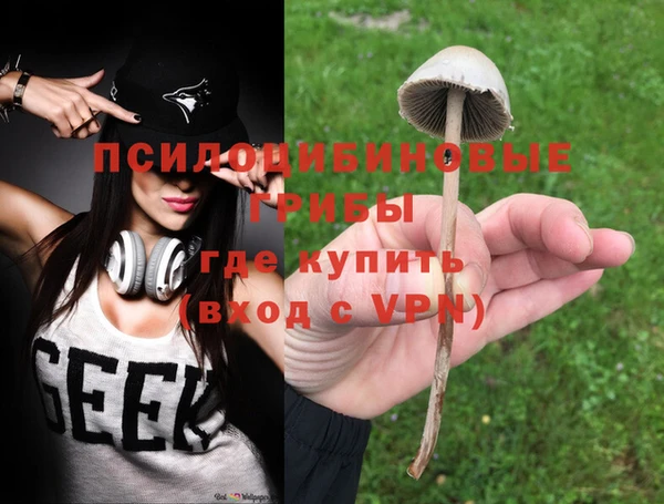 PSILOCYBIN Белоозёрский