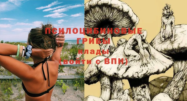 альфа пвп Белокуриха