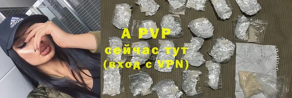 хмурый Сосновоборск