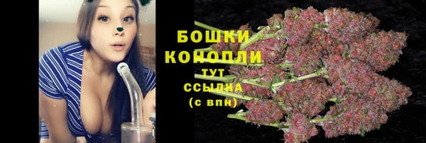 PSILOCYBIN Белоозёрский