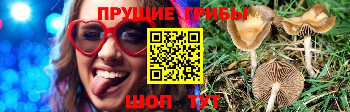 Галлюциногенные грибы мухоморы  как найти закладки  Галлюциногенные грибы Psilocybine cubensis  Валуйки  Вход с VPN 